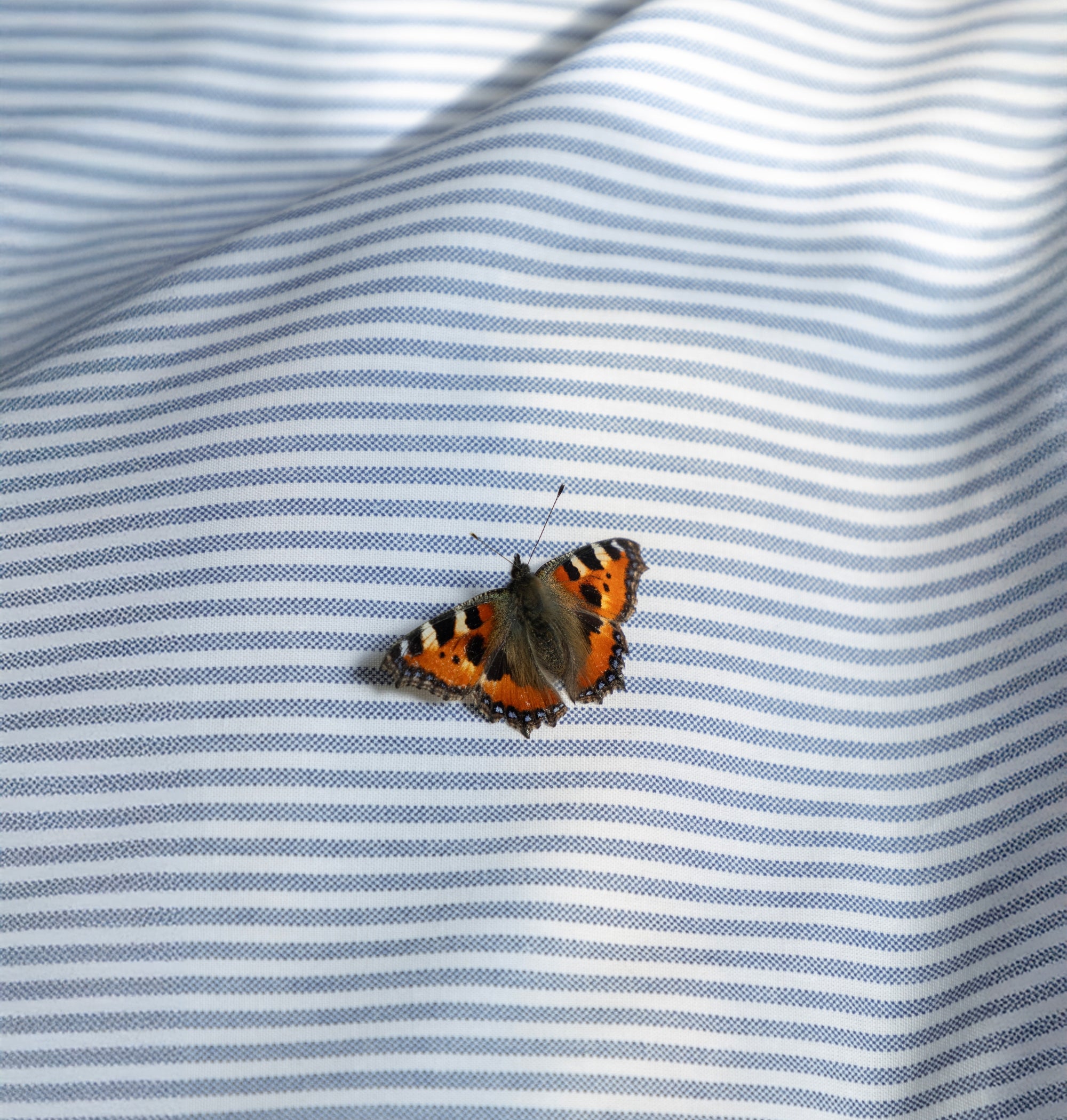 Påslakanset Cille Blå