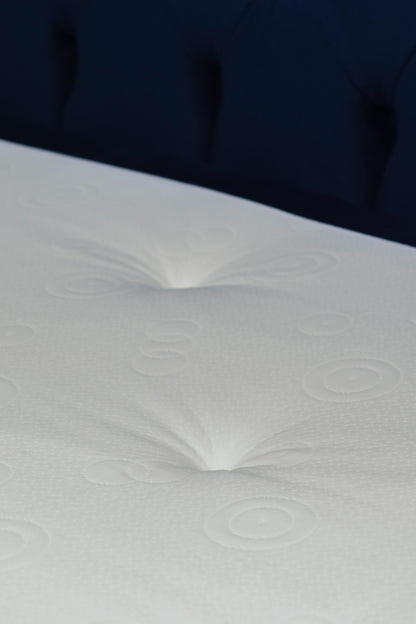 DEMO Kontinentalsäng Livorno